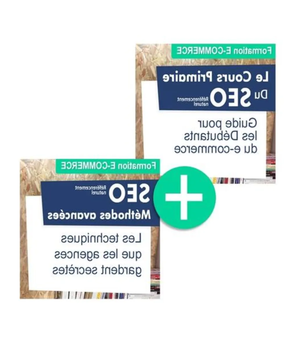 formation e commerce webmarketing