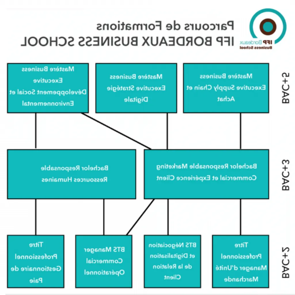 programme formation e-commerce