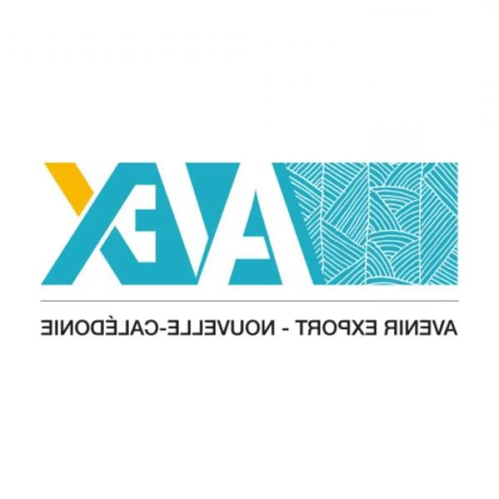 formation auto entrepreneur e commerce