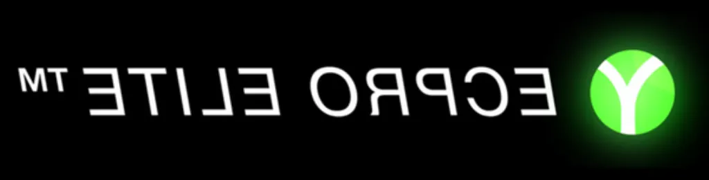yomi