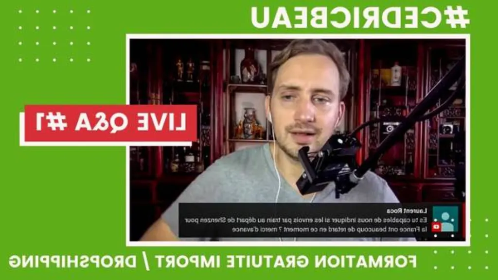 Fake ? Formation marketing dropshipping pour formation dropshipping ebay Avis Coaching