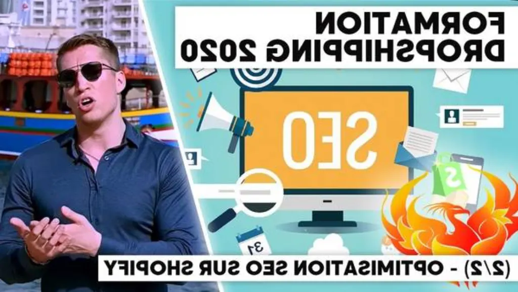 formation seo dropshipping