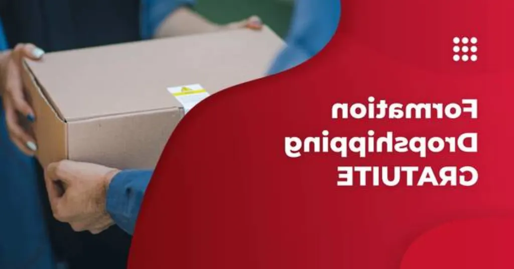 arnaque formation dropshipping