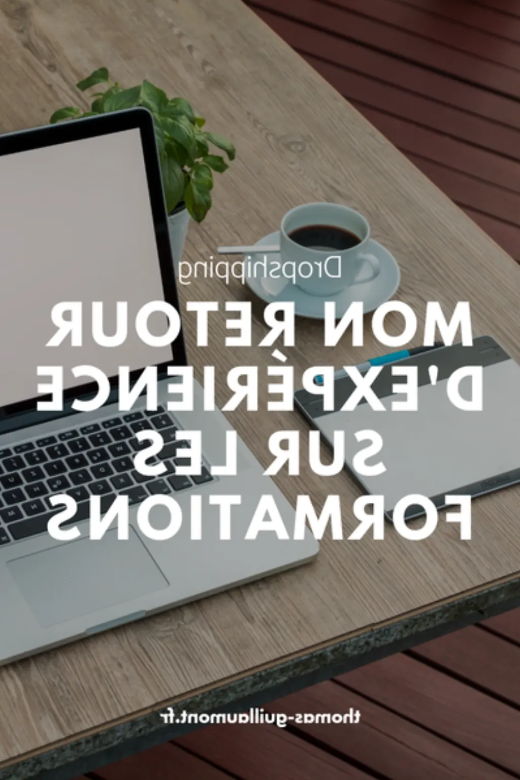 formation dropshipping shopify gratuit