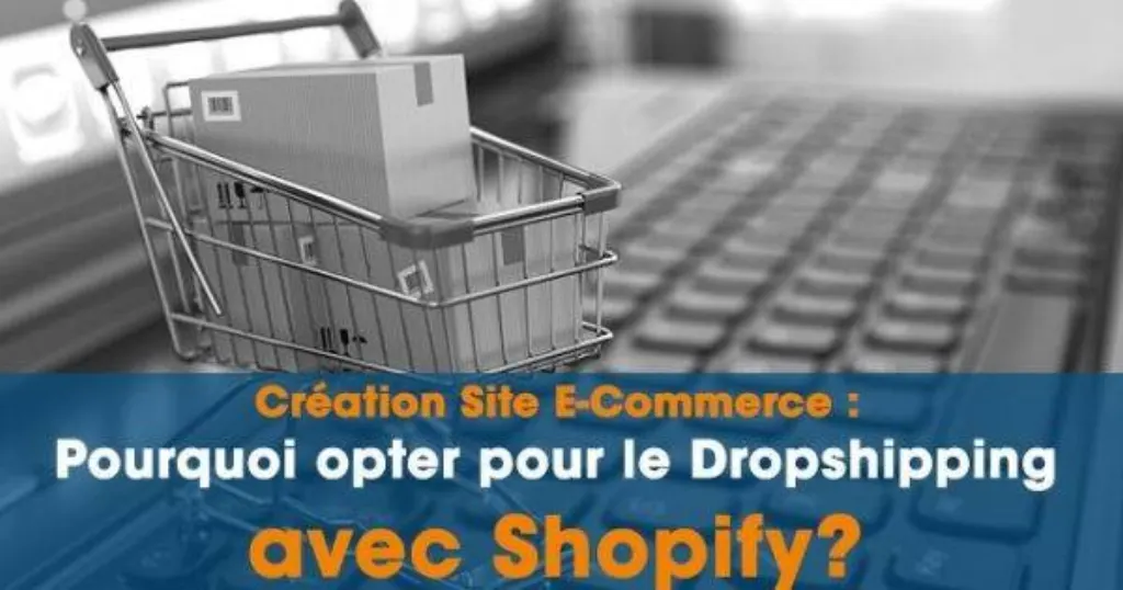 formation dropshipping avis