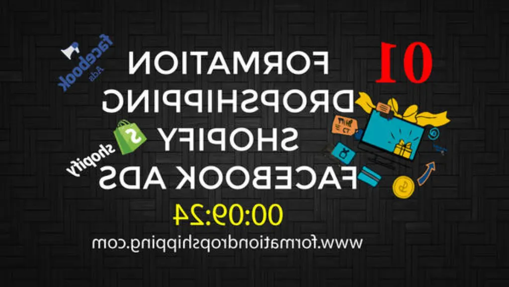 formation dropshipping grauite