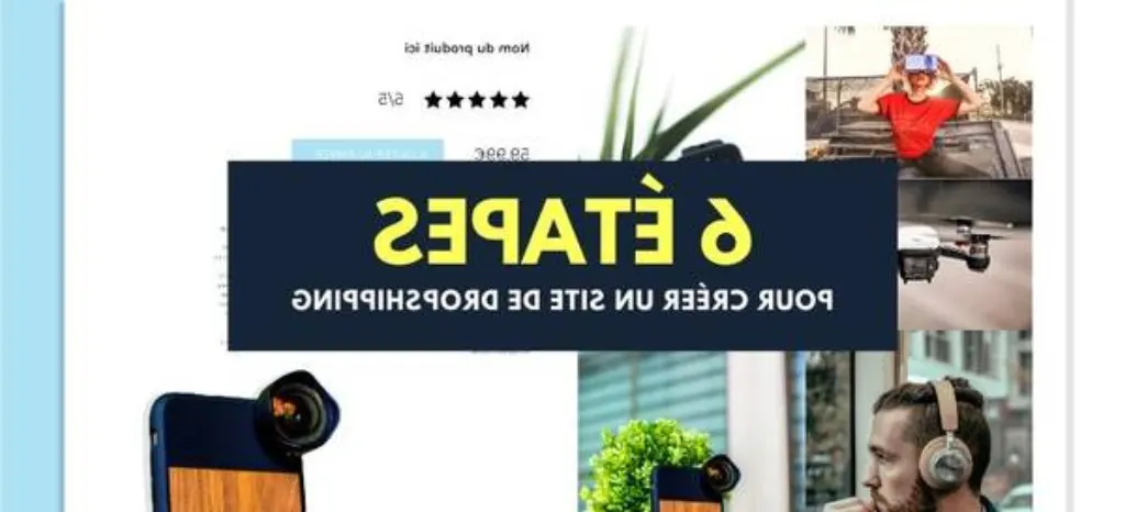 dropshipping quelle niche